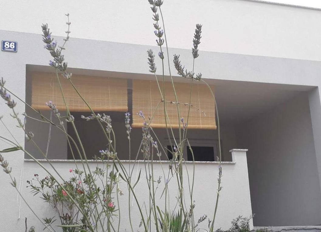 Appartement Luciana à Povljana Extérieur photo